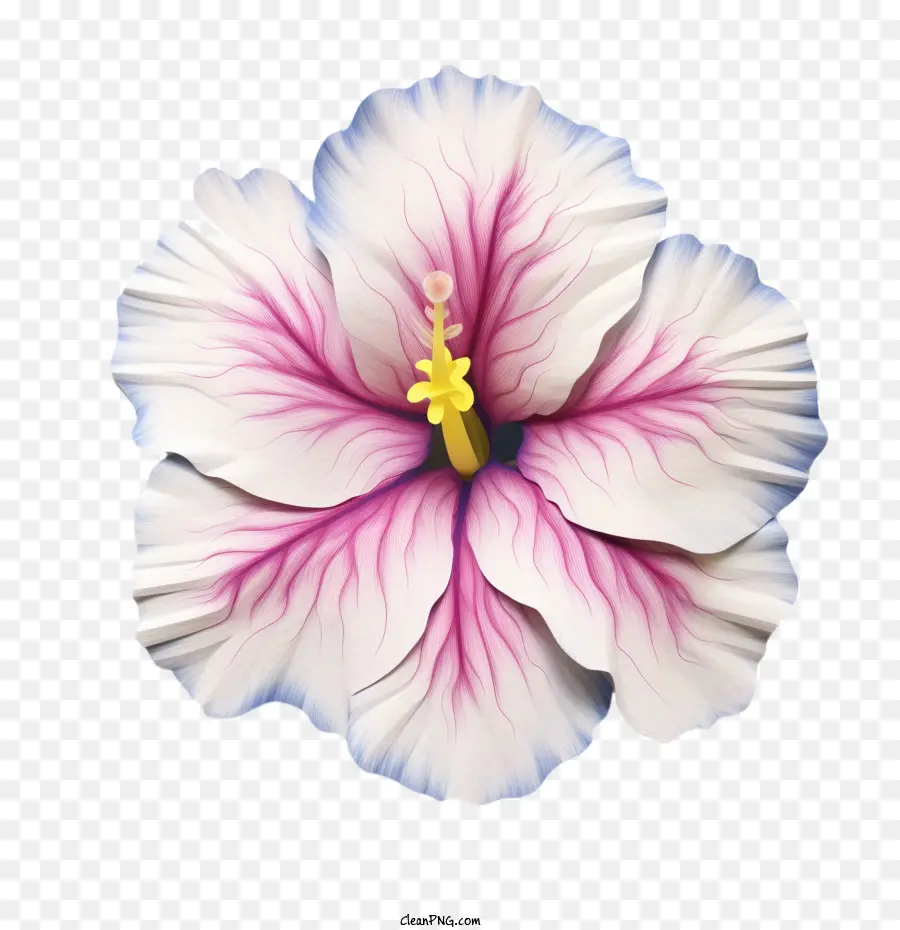 Bunga Petunia，Bunga Petunia Seni Kertas PNG