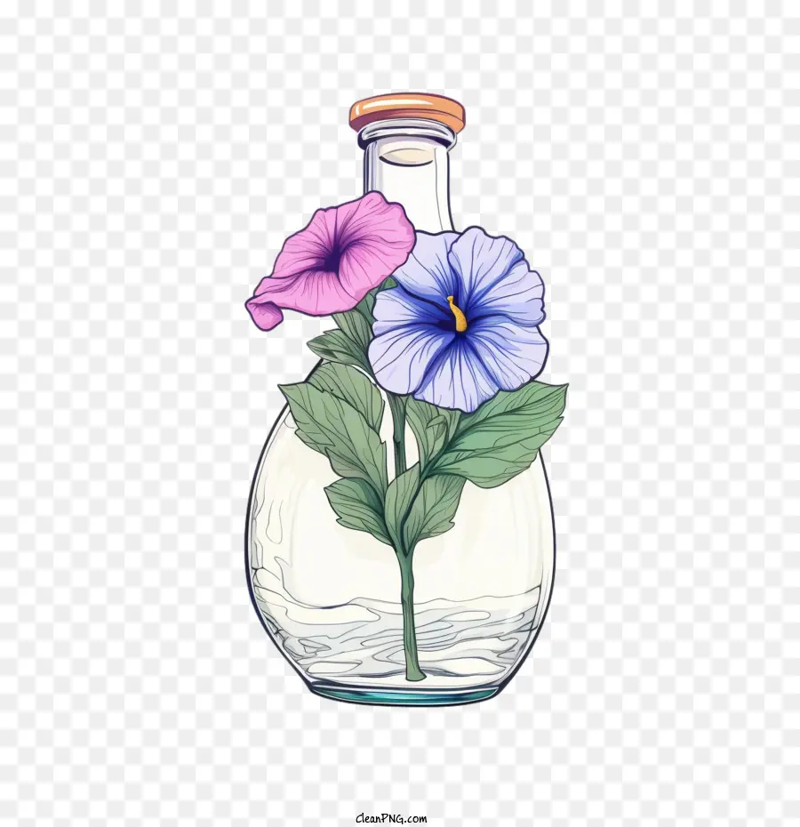 Bunga Petunia，Botol PNG