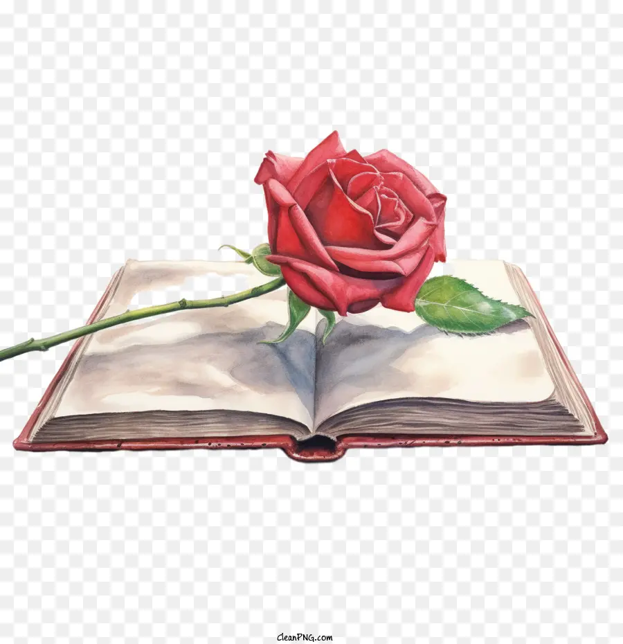 Mawar Merah，Buku Yang Terbuka PNG