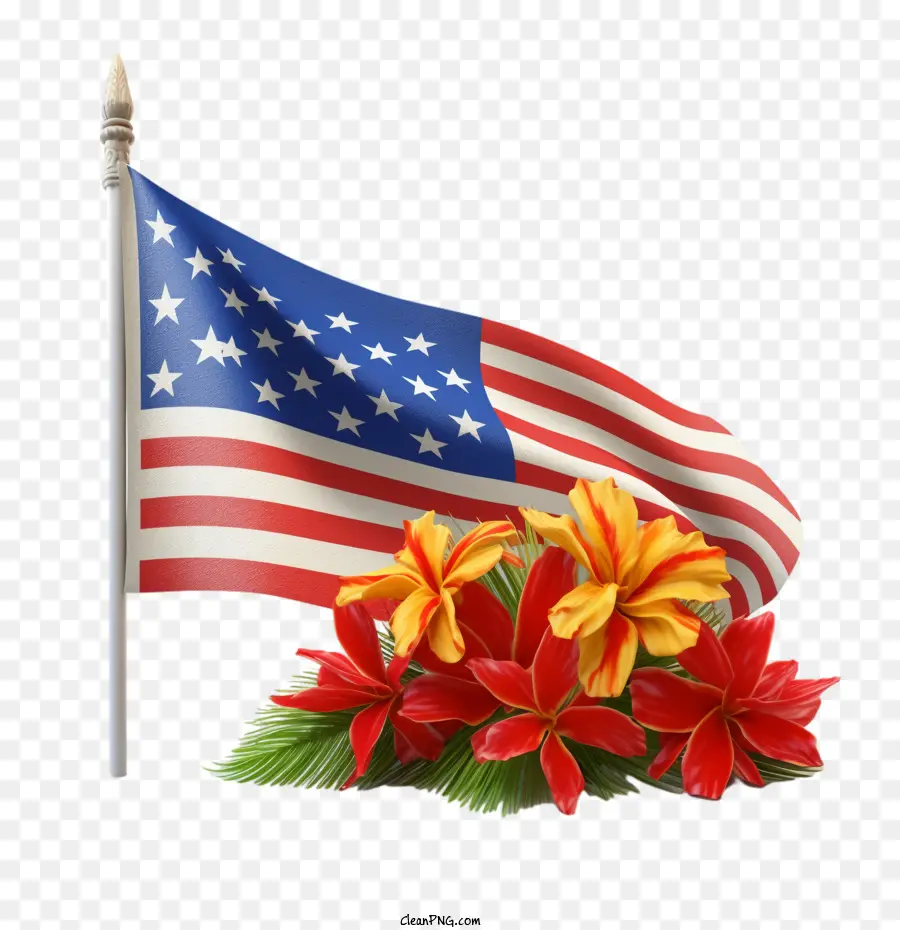 Hawaii，Bendera PNG