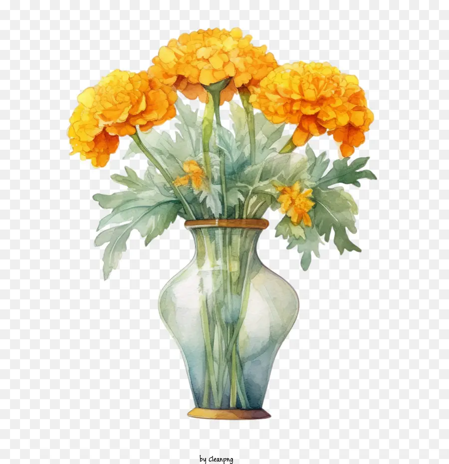 Bunga Marigold，Vas Dengan Bunga PNG