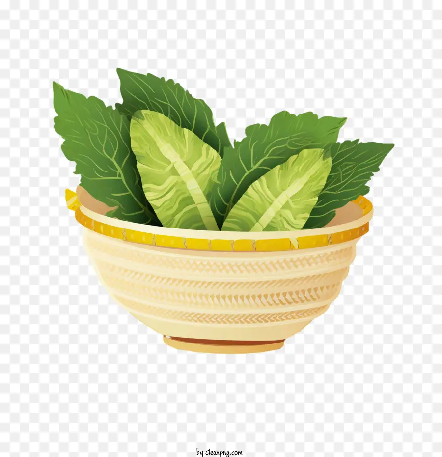 Kubis Cina，Salad PNG