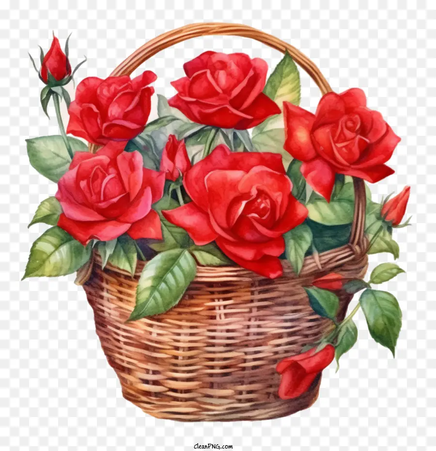 Mawar Merah，Keranjang Mawar PNG