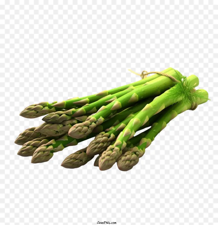 Asparagus，Hijau PNG