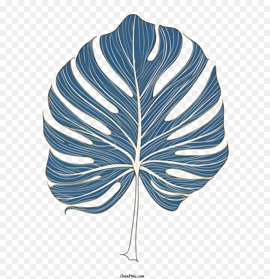 Daun Monstera，Daun Biru PNG