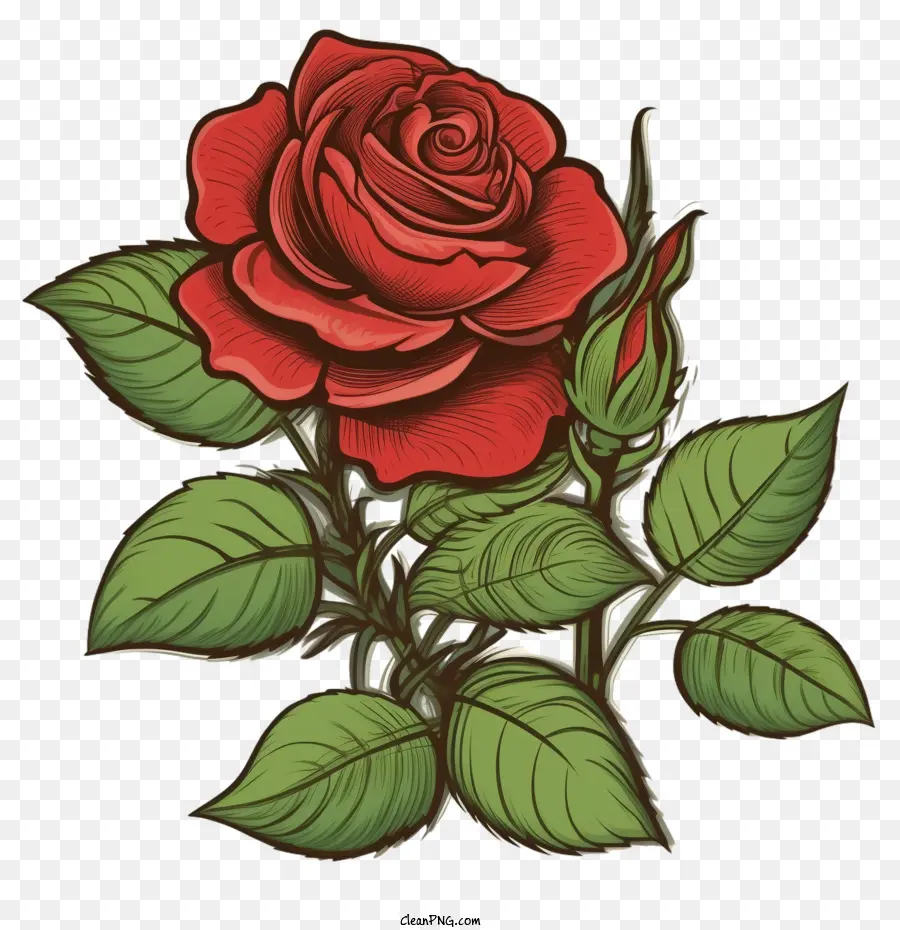 Mawar Merah，Vintage Red Rose PNG
