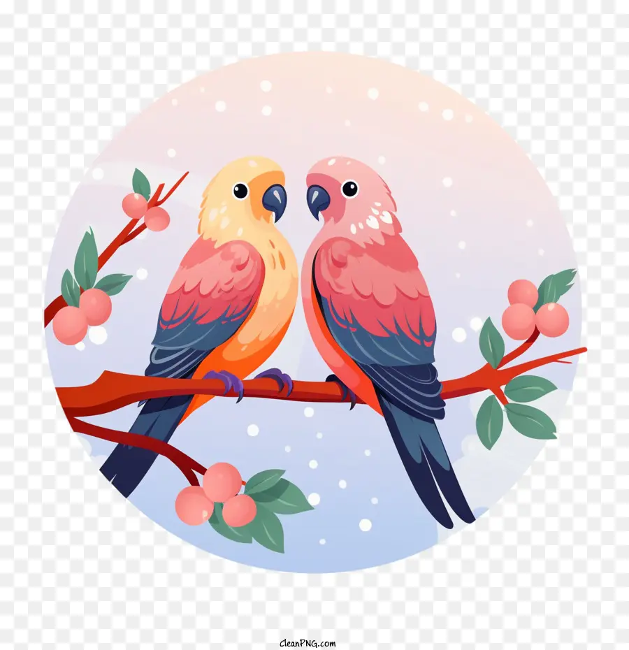 Burung Cinta，Burung Beo PNG