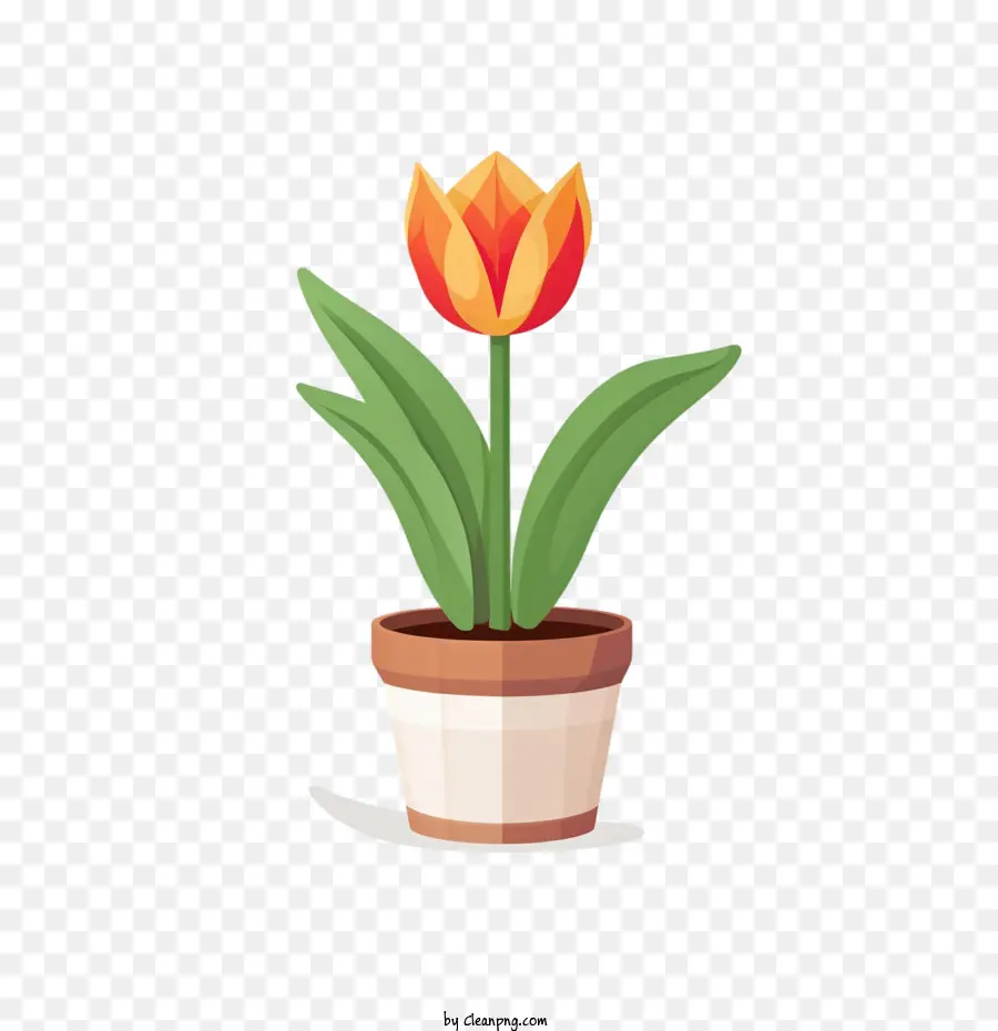 Bunga Tulip，Pot Bunga PNG