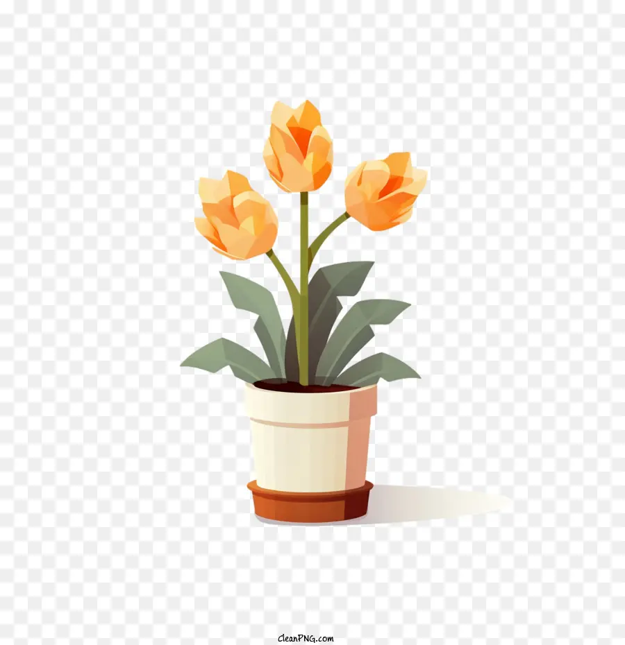 Bunga Tulip，Pot Bunga PNG