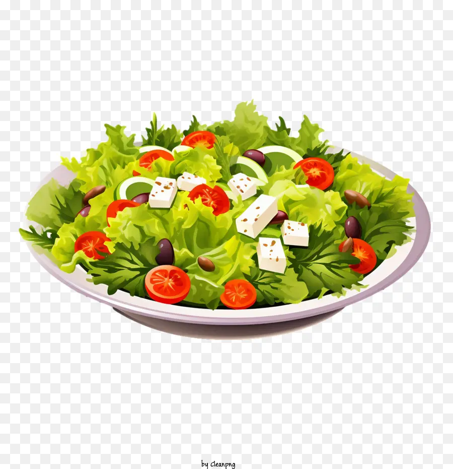 Salad，Sayuran PNG