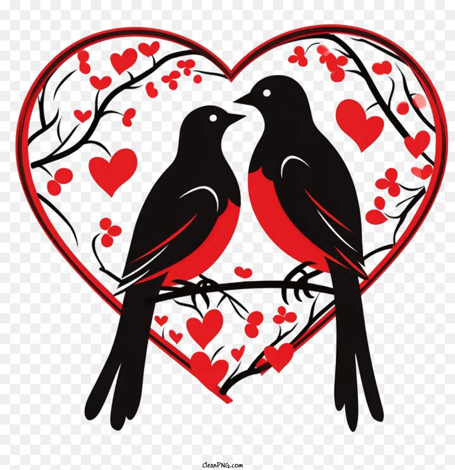 Burung Cinta，Burung PNG