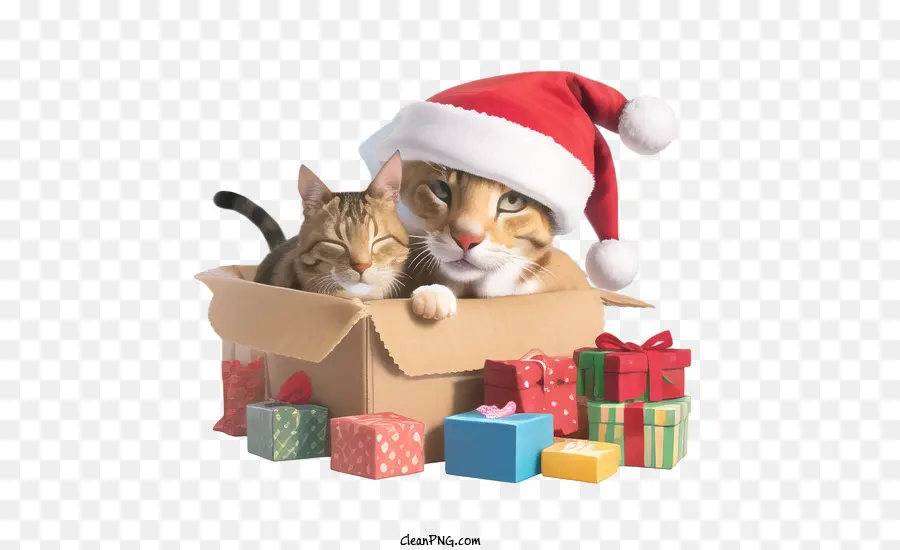 Natal，Kotak Hadiah PNG