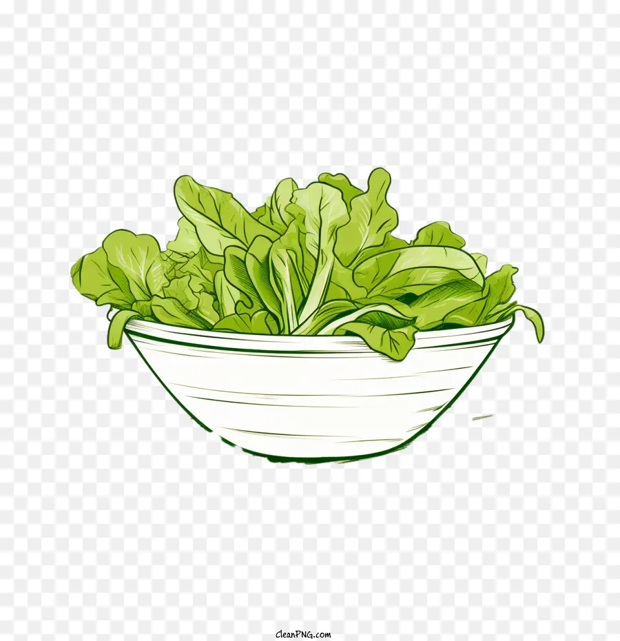 Salad Hijau，Salad Yang Digambar Tangan PNG