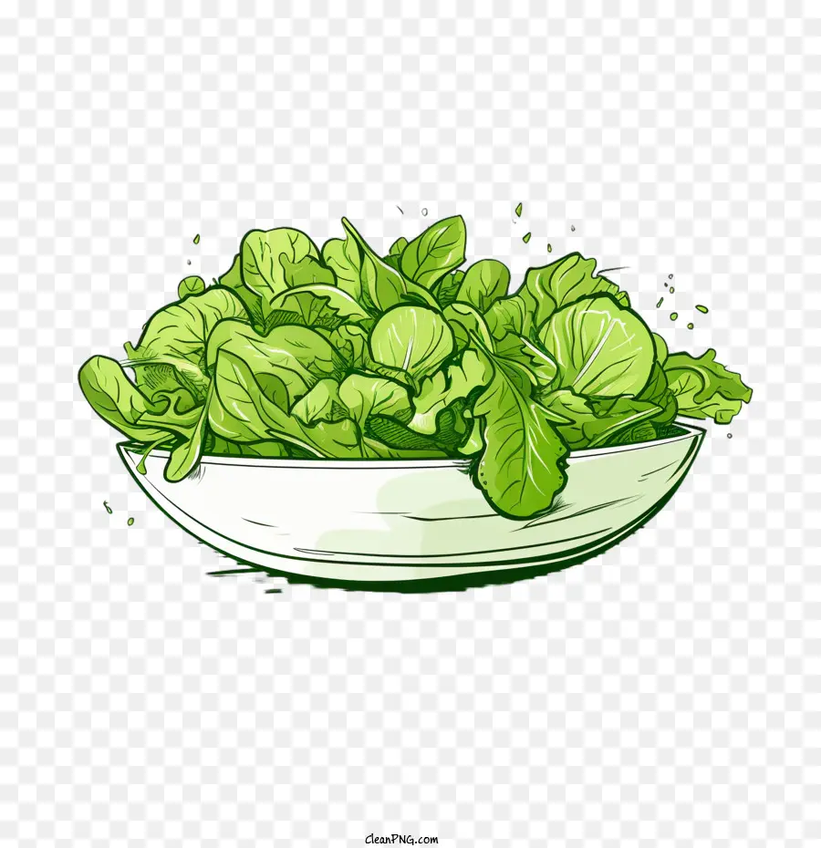 Hijau Salad，Salad Yang Digambar Tangan PNG