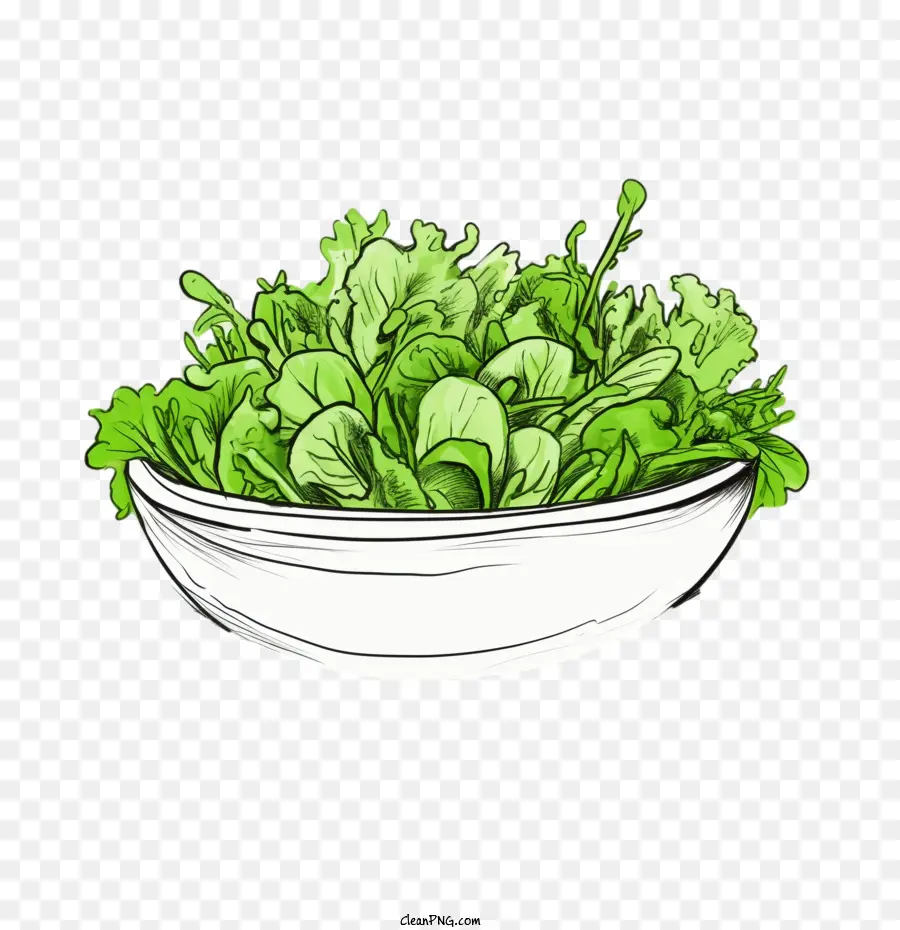 Hijau Salad，Salad Yang Digambar Tangan PNG