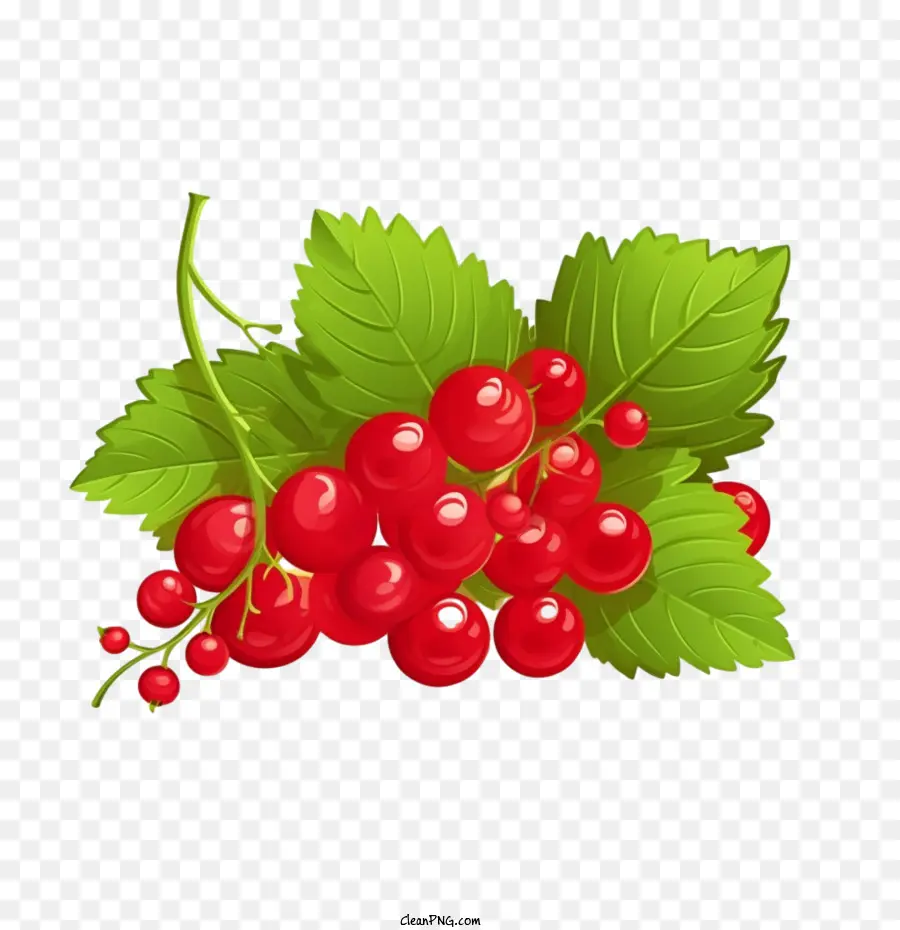 Cranberry Merah，Buah Beri PNG