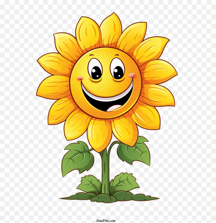 Hari Bunga Matahari Nasional，Bunga Matahari PNG
