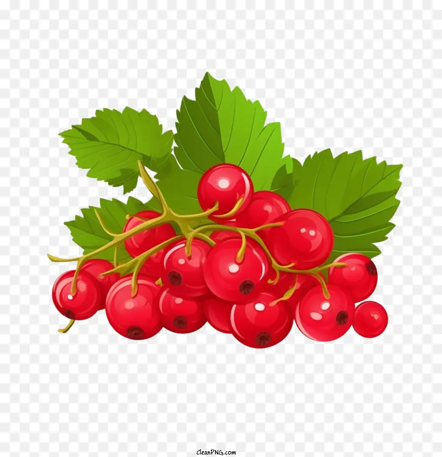 Cranberry Merah，Raspberry PNG