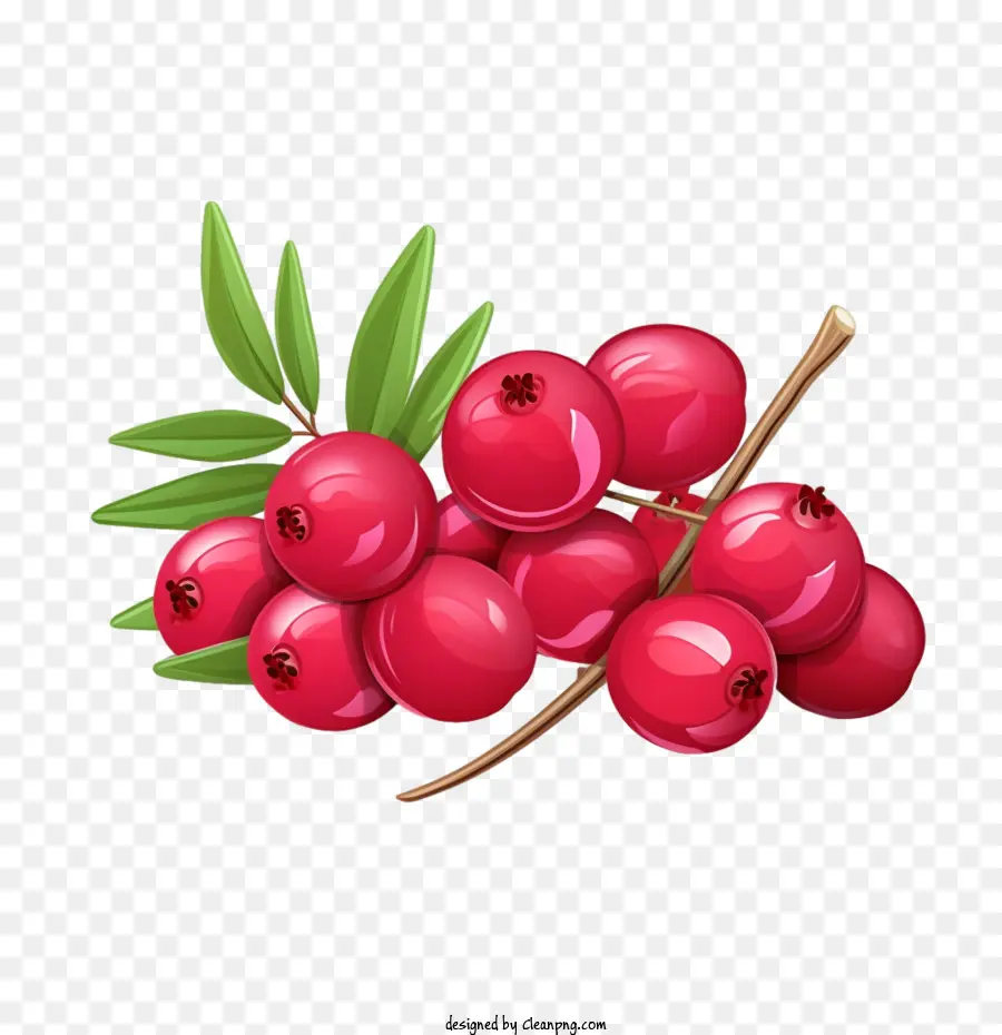 Cranberry Merah，Berry Merah PNG