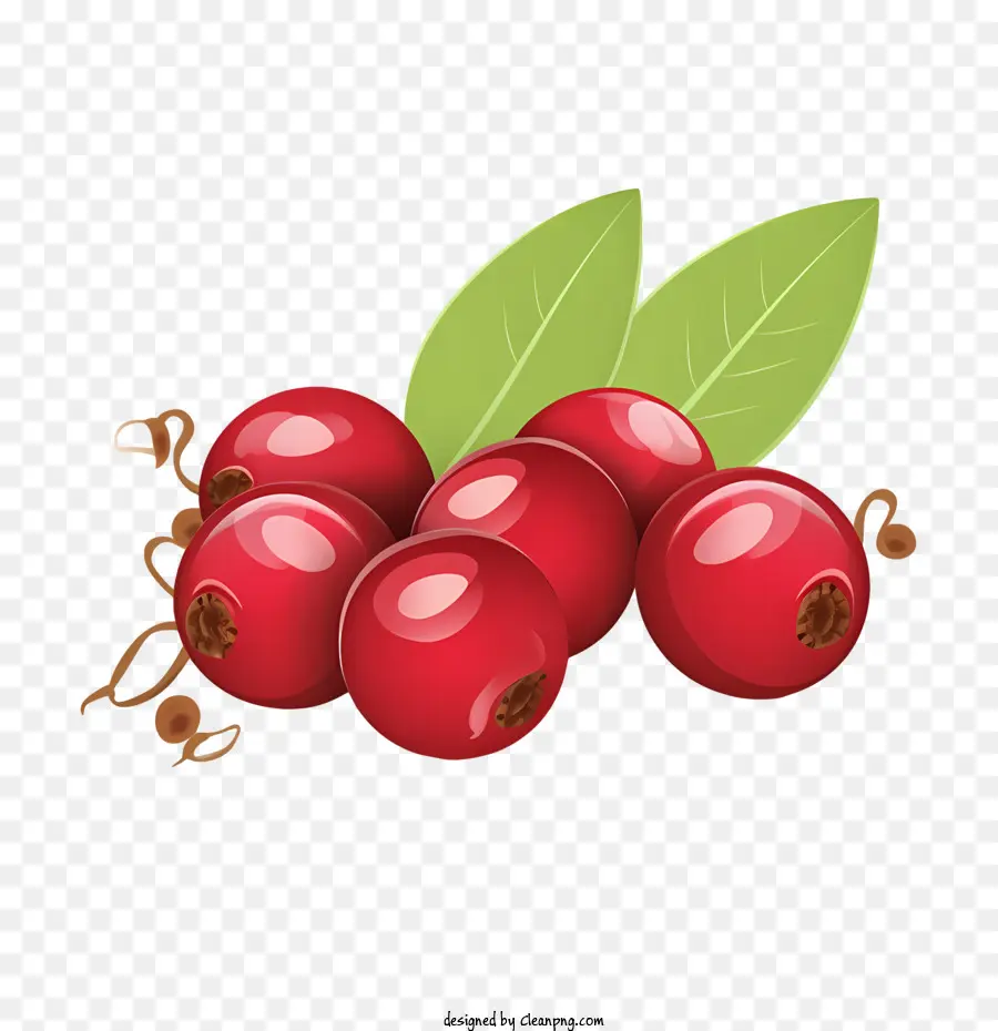 Cranberry，Apple PNG