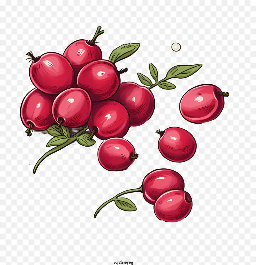 Cranberry，Cherry PNG
