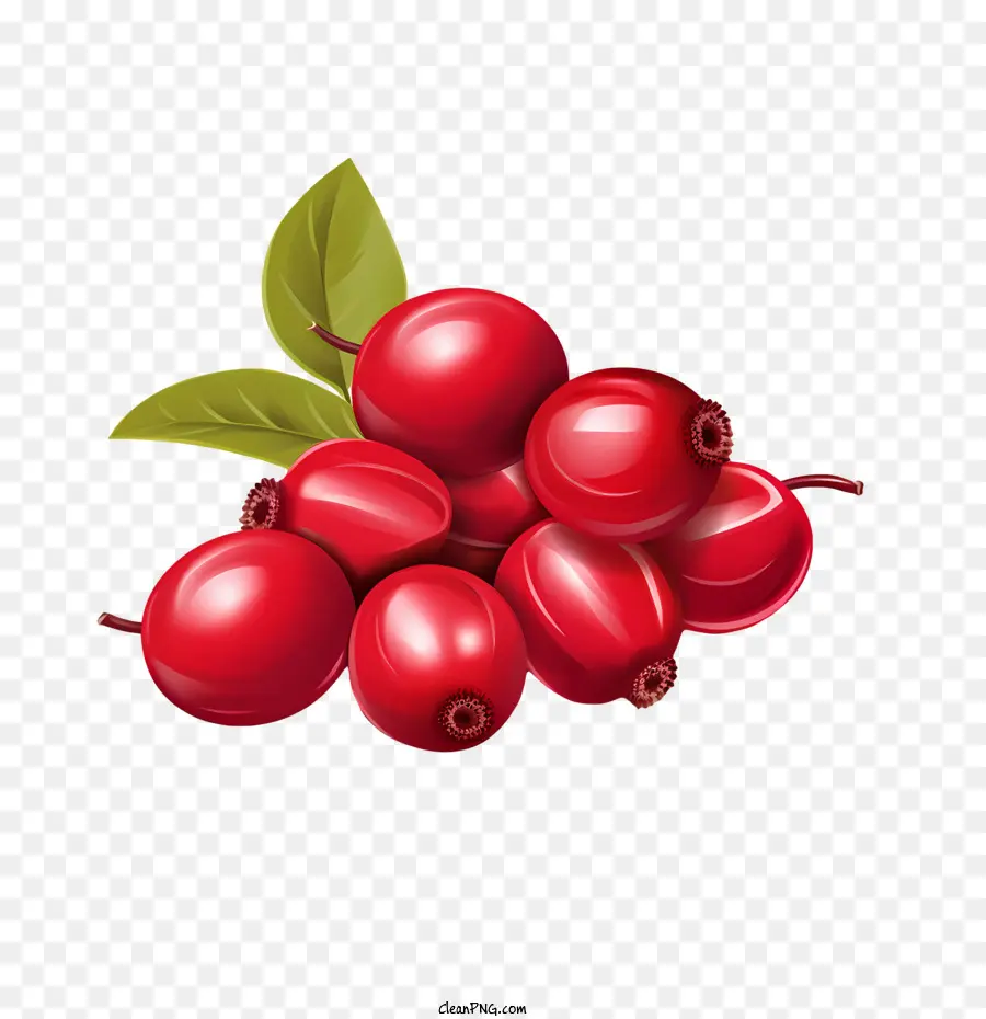 Cranberry，Merah PNG