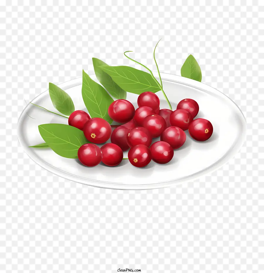 Cranberry Merah，Cranberry PNG