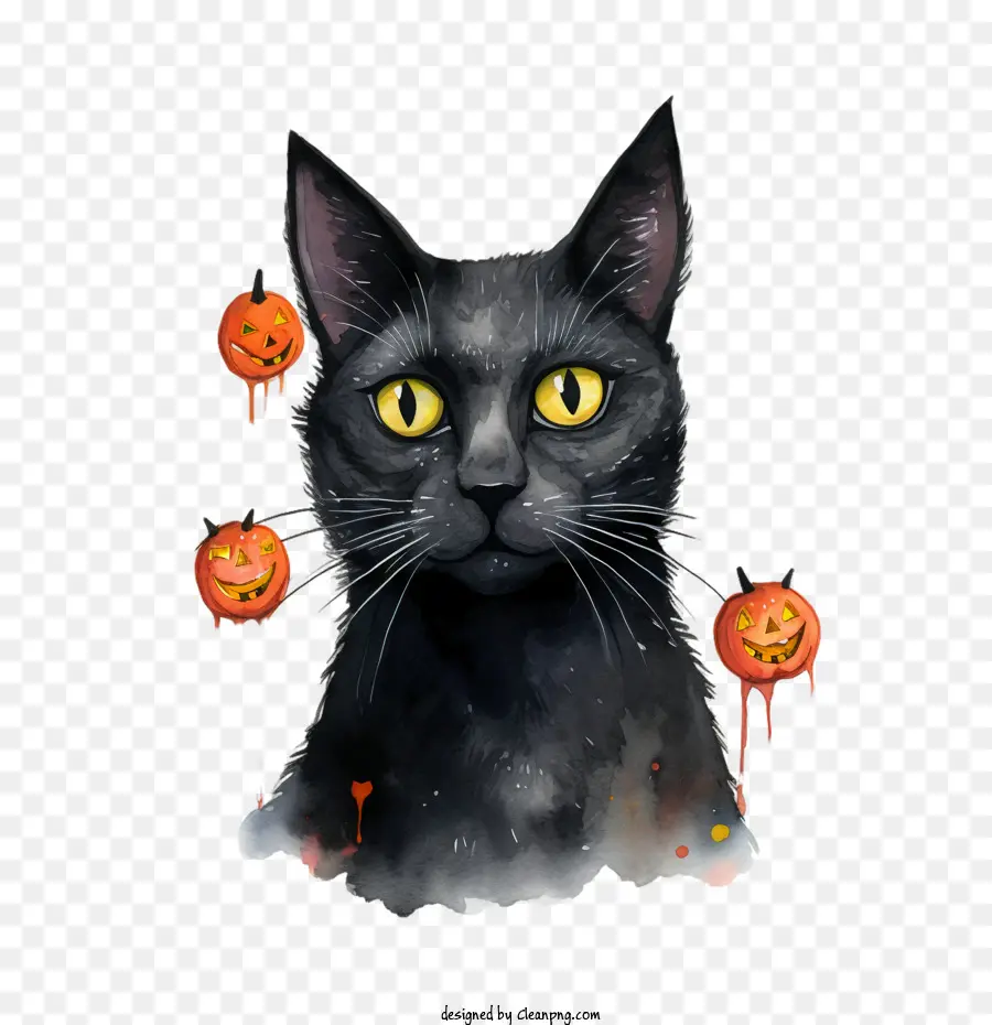 Halloween，Kucing Hitam PNG