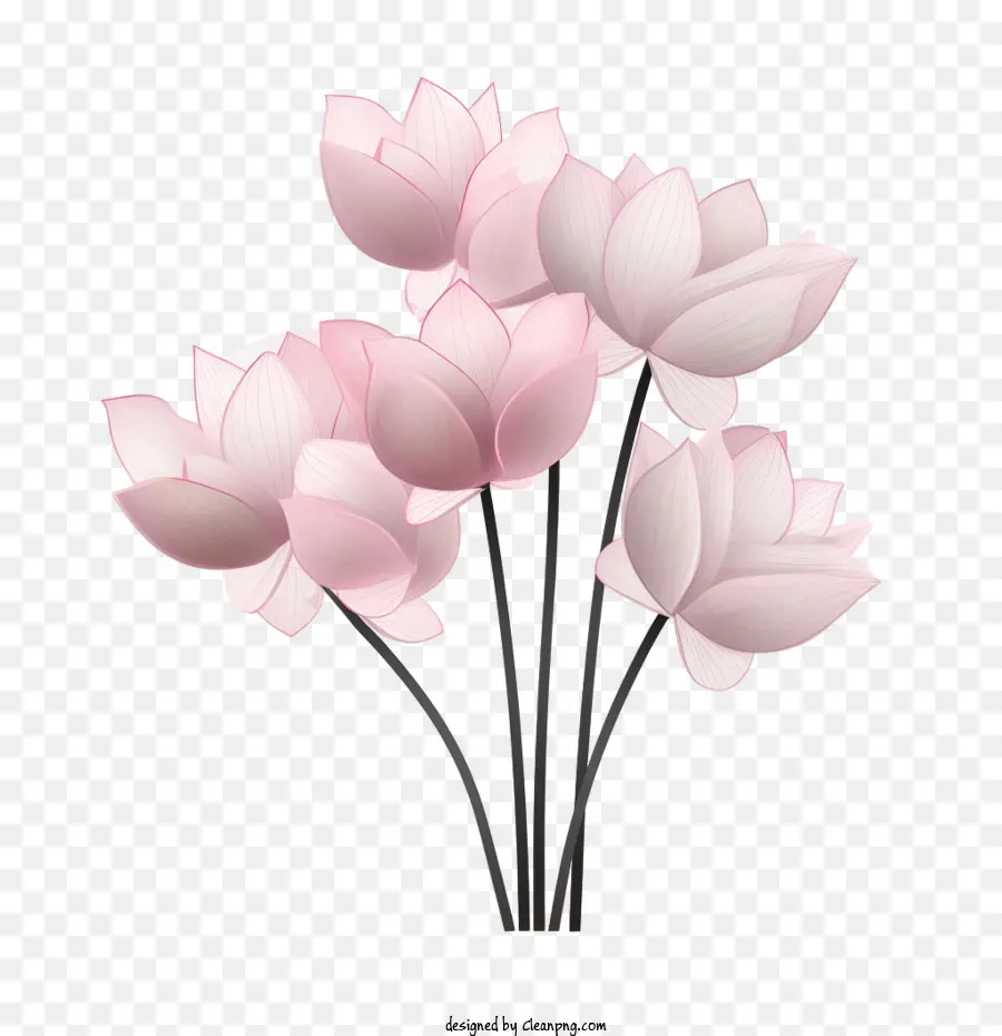 Bunga Teratai，Lotus PNG