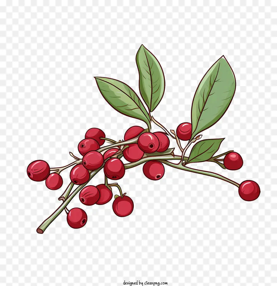 Cranberry Merah，Buah Beri PNG