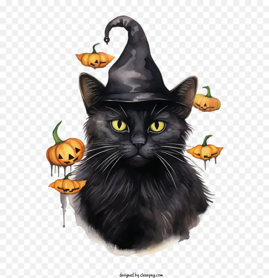 Hallowen，Kucing Hitam PNG