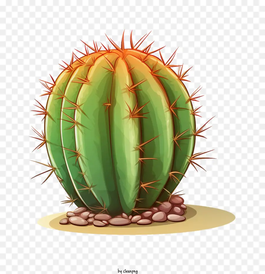 Kaktus Lezat，Kaktus PNG