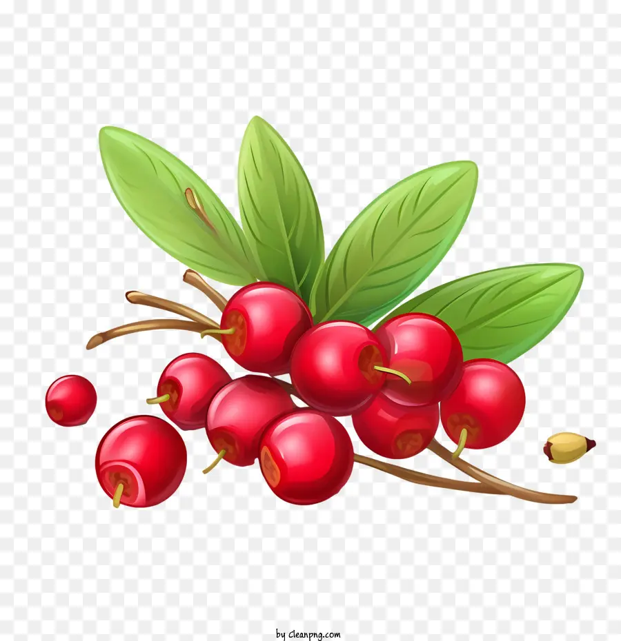 Cranberry Merah，Berry Merah PNG