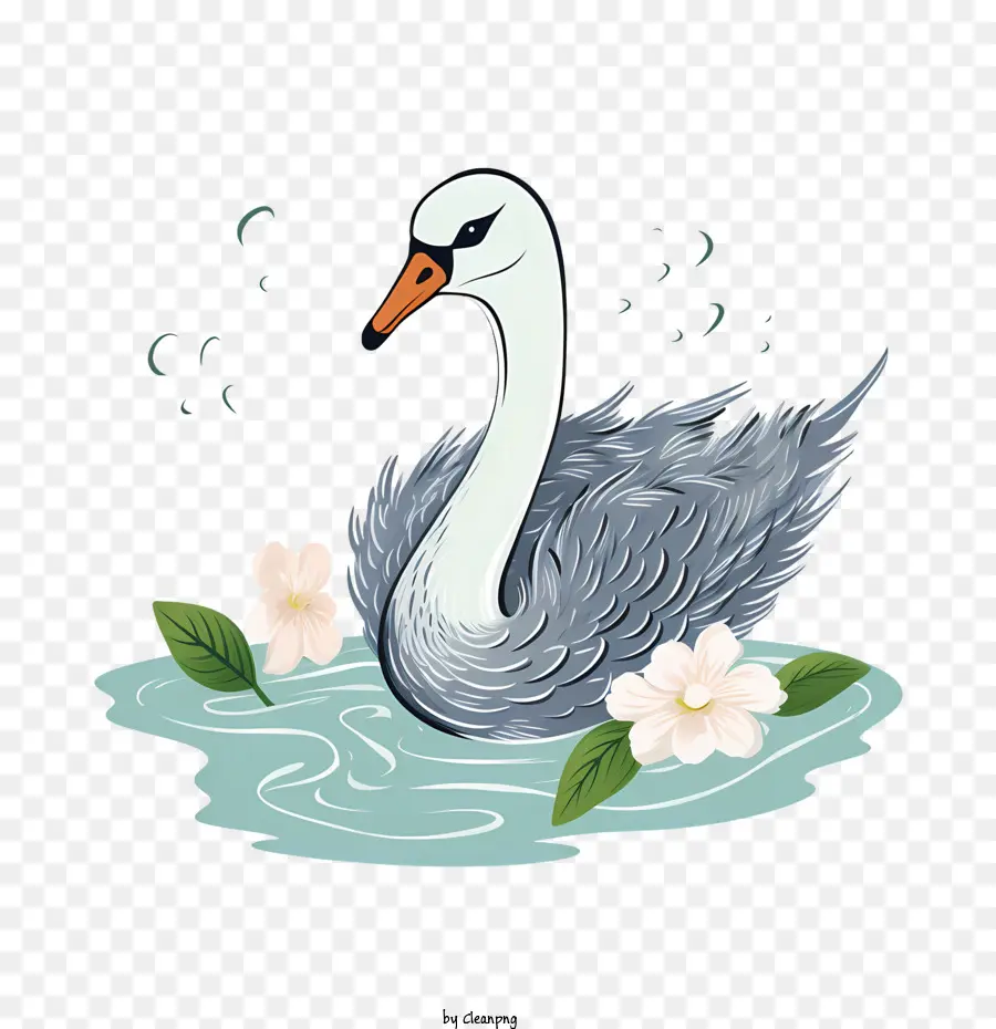 Swan，Burung PNG