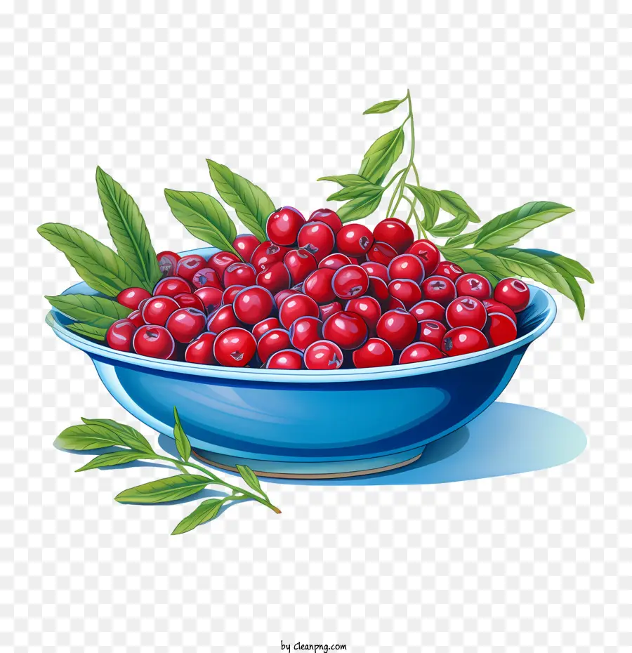 Mangkuk Cranberry Merah，Cranberry Merah PNG