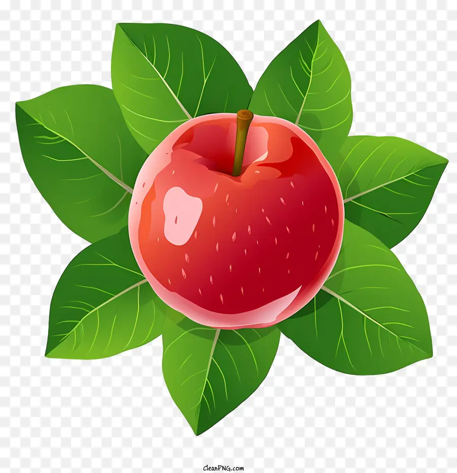 Makan Sebuah Apel Merah Di Malam Hari，Apple PNG