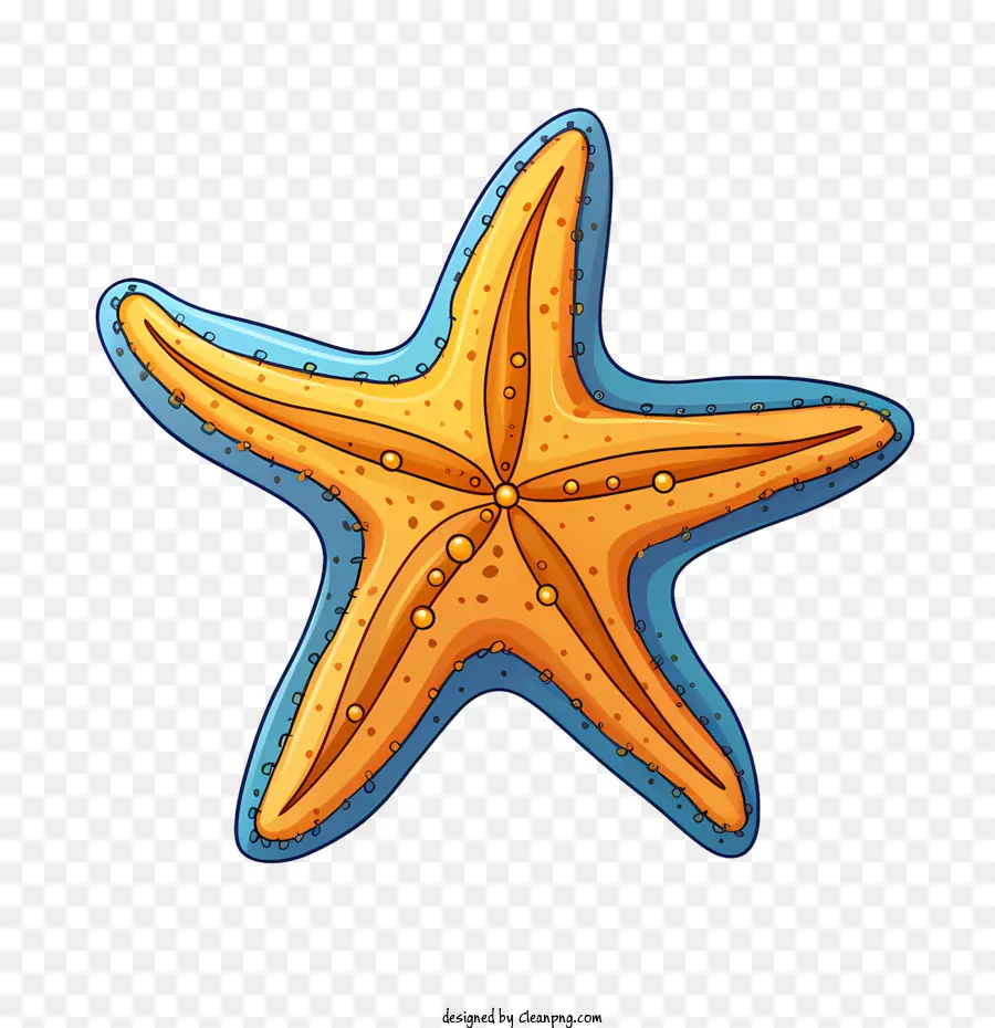 Bintang Laut，Laut PNG