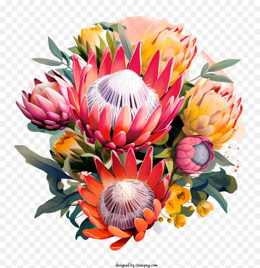 Bunga Protea，Buket PNG