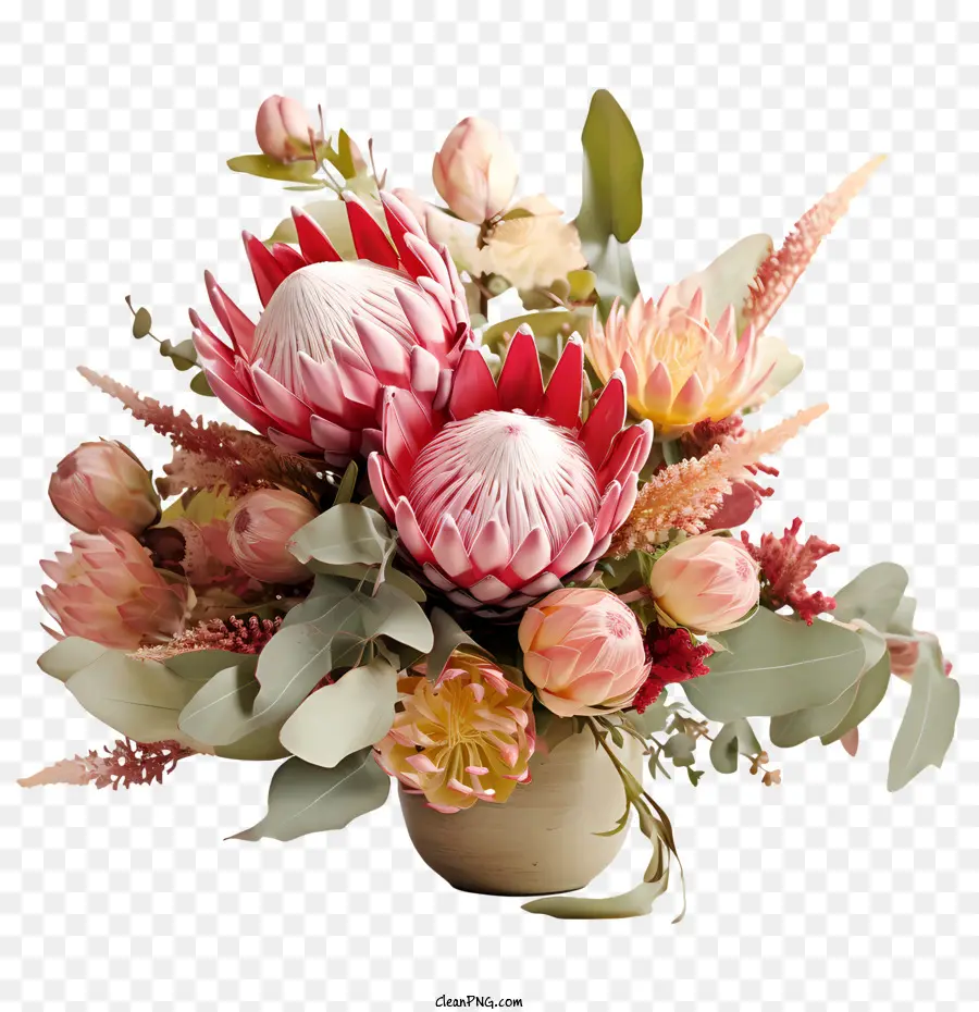 Protea Bunga，Rangkaian Bunga PNG