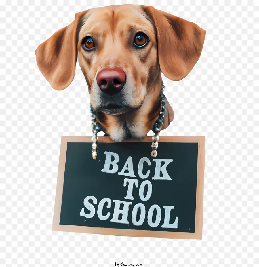 Kembali Ke Sekolah，Anjing PNG