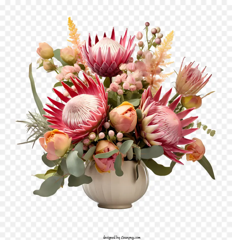 Protea Bunga，Mawar PNG