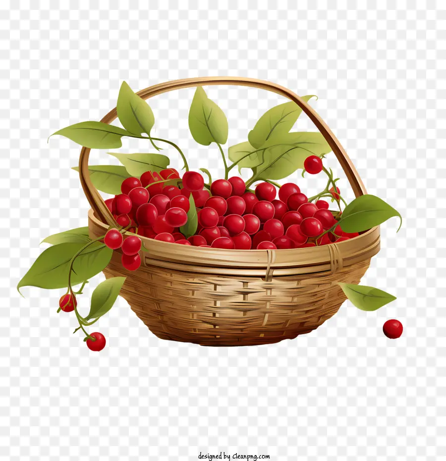 Cranberry，Keranjang Berry Merah PNG