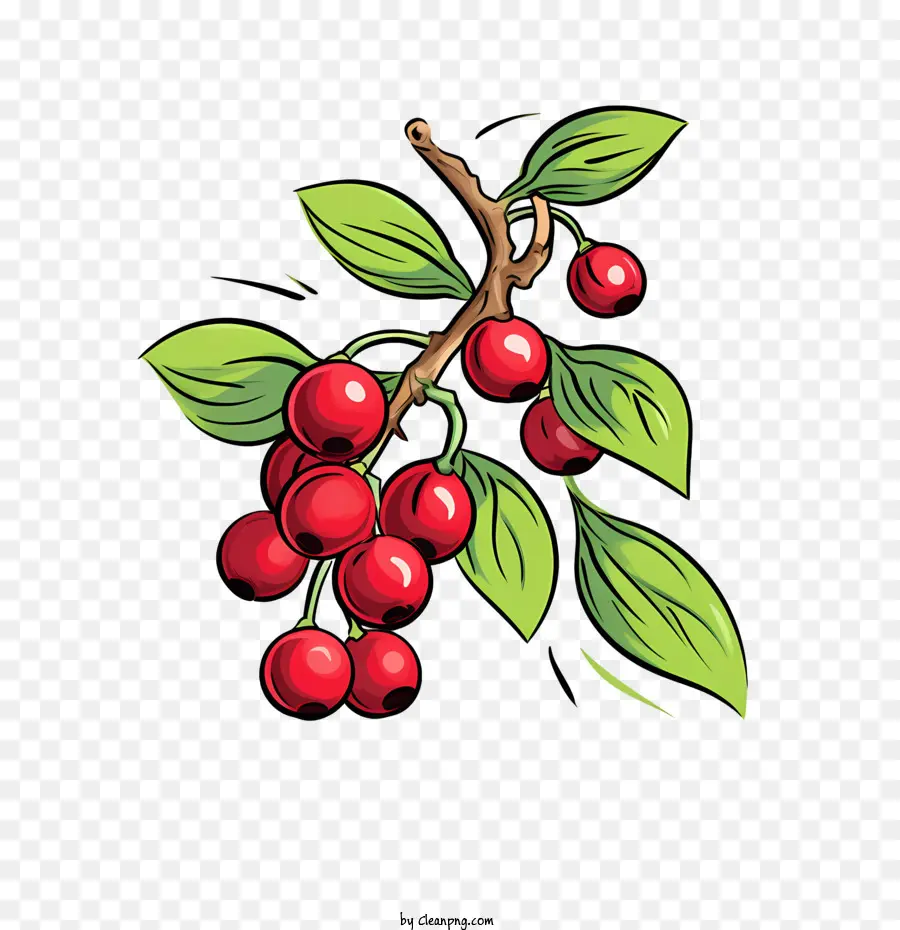 Cranberry Merah，Buah Beri PNG