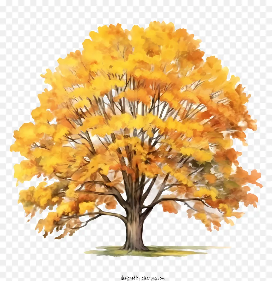Pohon Musim Gugur，Daun PNG