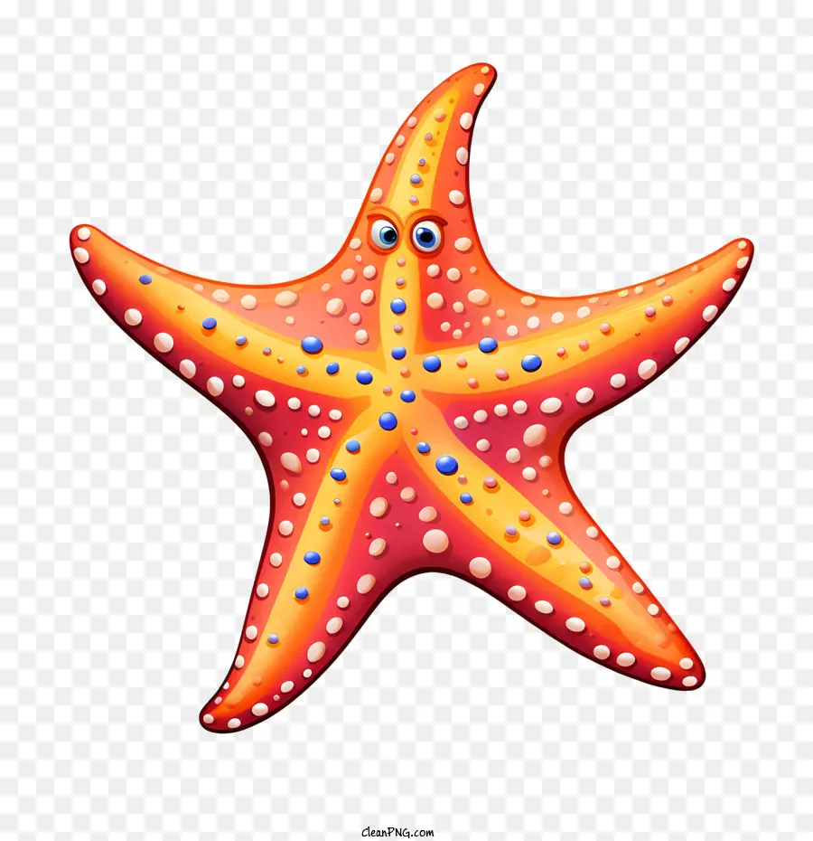 Bintang Laut，Orange PNG