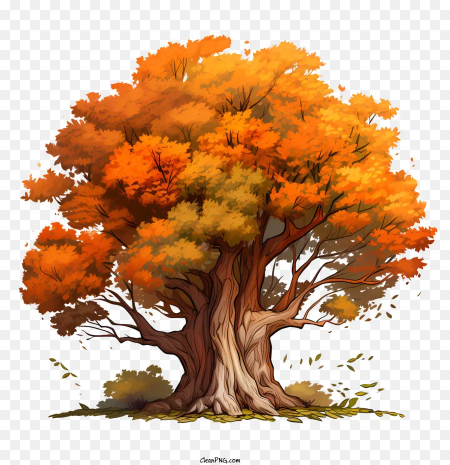 Pohon Musim Gugur，Pohon PNG