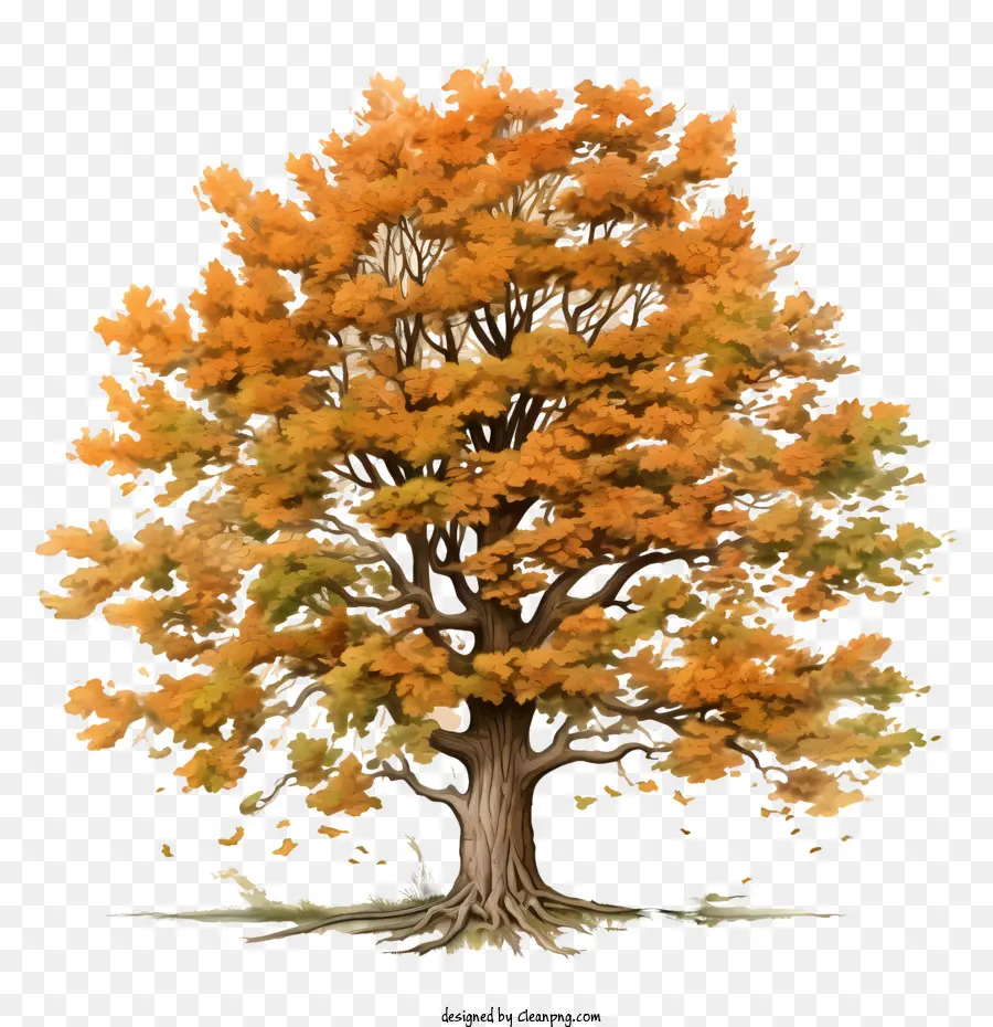 Pohon Musim Gugur，Pohon PNG