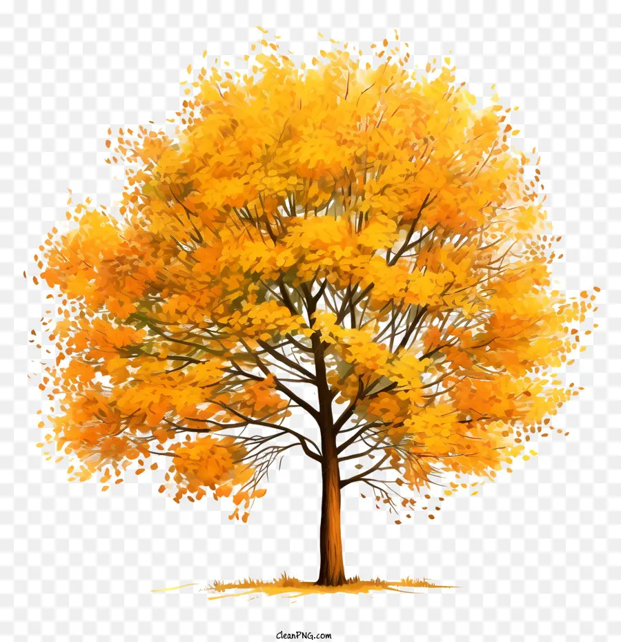 Pohon Musim Gugur，Dedaunan Jatuh PNG