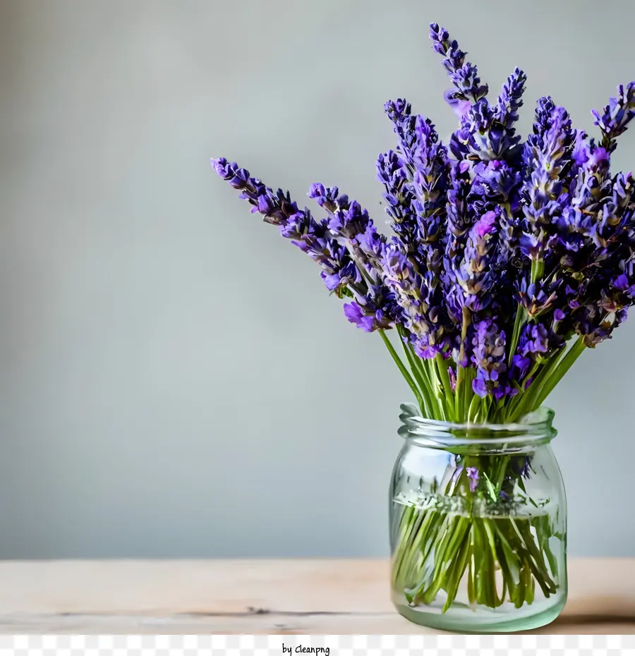 Hari Mason Jar Nasional，Lavendel Dalam Toples PNG