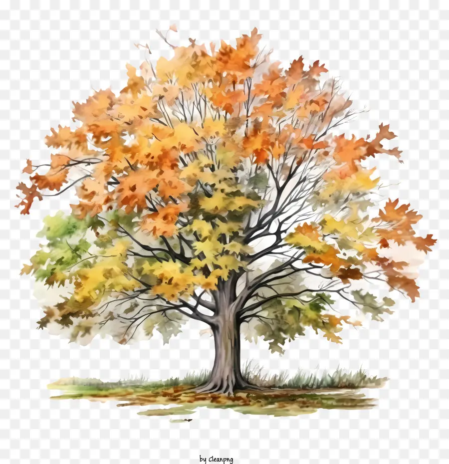 Pohon Musim Gugur，Daun Daun Musim Gugur PNG